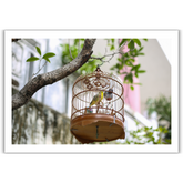 VIEW THROUGH JEN'S LENS PRINT: Hong Kong Birdcage