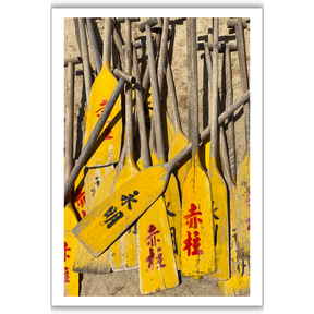 VIEW THROUGH JEN'S LENS PRINT: Dragon Boat Oars