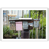 VIEW THROUGH JEN'S LENS PRINT: Hong Kong Mailboxes