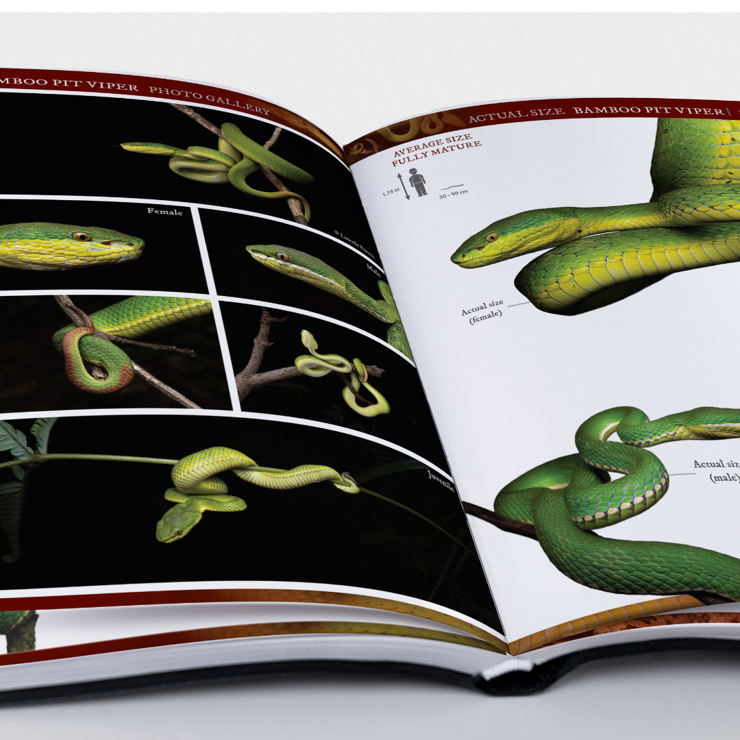 BOOK: A Field Guide to the Snakes of Hong Kong (2nd Edition)