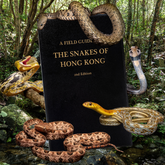 BOOK: A Field Guide to the Snakes of Hong Kong (2nd Edition)