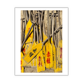 VIEW THROUGH JEN'S LENS PRINT: Dragon Boat Oars (11x14")