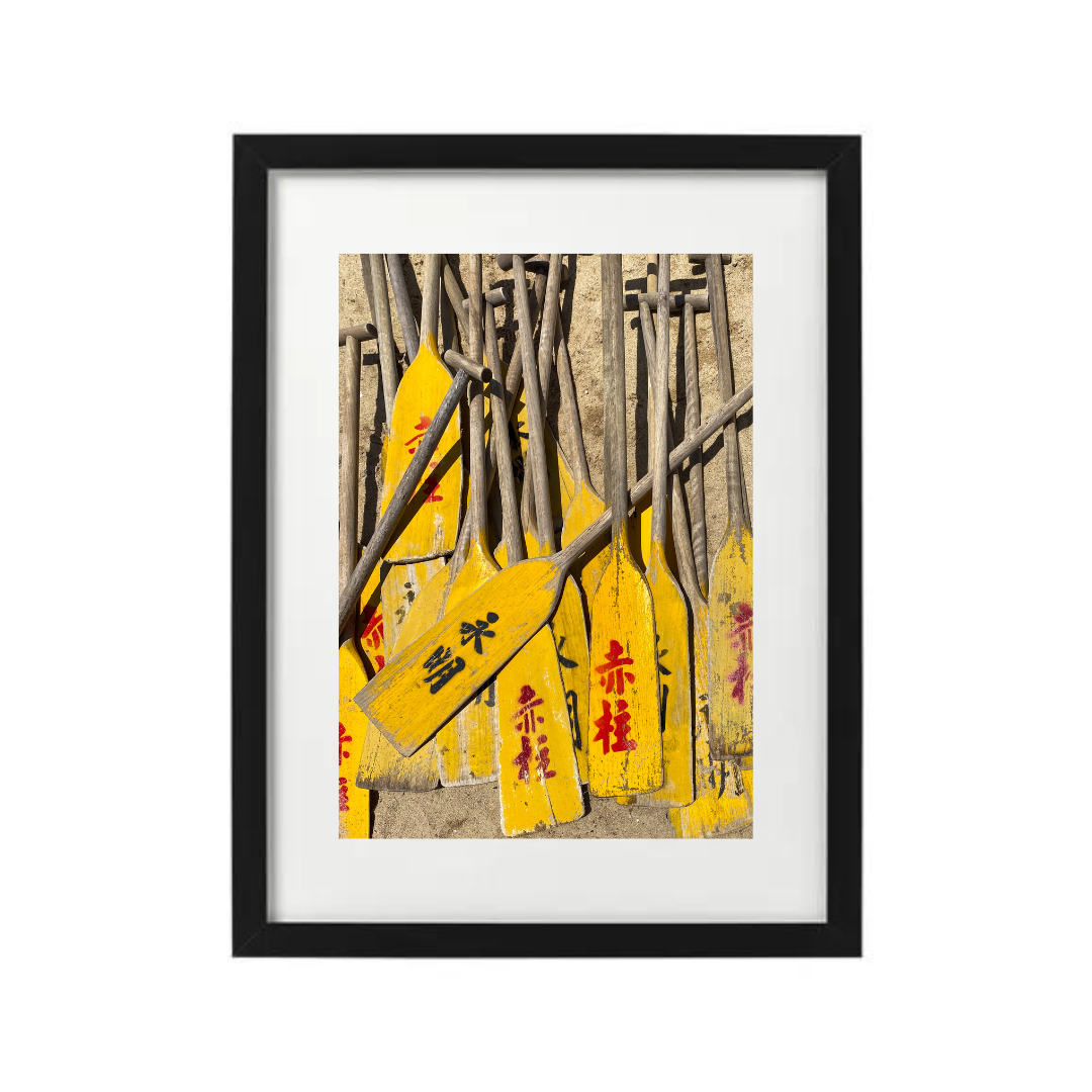 VIEW THROUGH JEN'S LENS PRINT: Dragon Boat Oars (11x14")