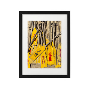 VIEW THROUGH JEN'S LENS PRINT: Dragon Boat Oars (11x14")