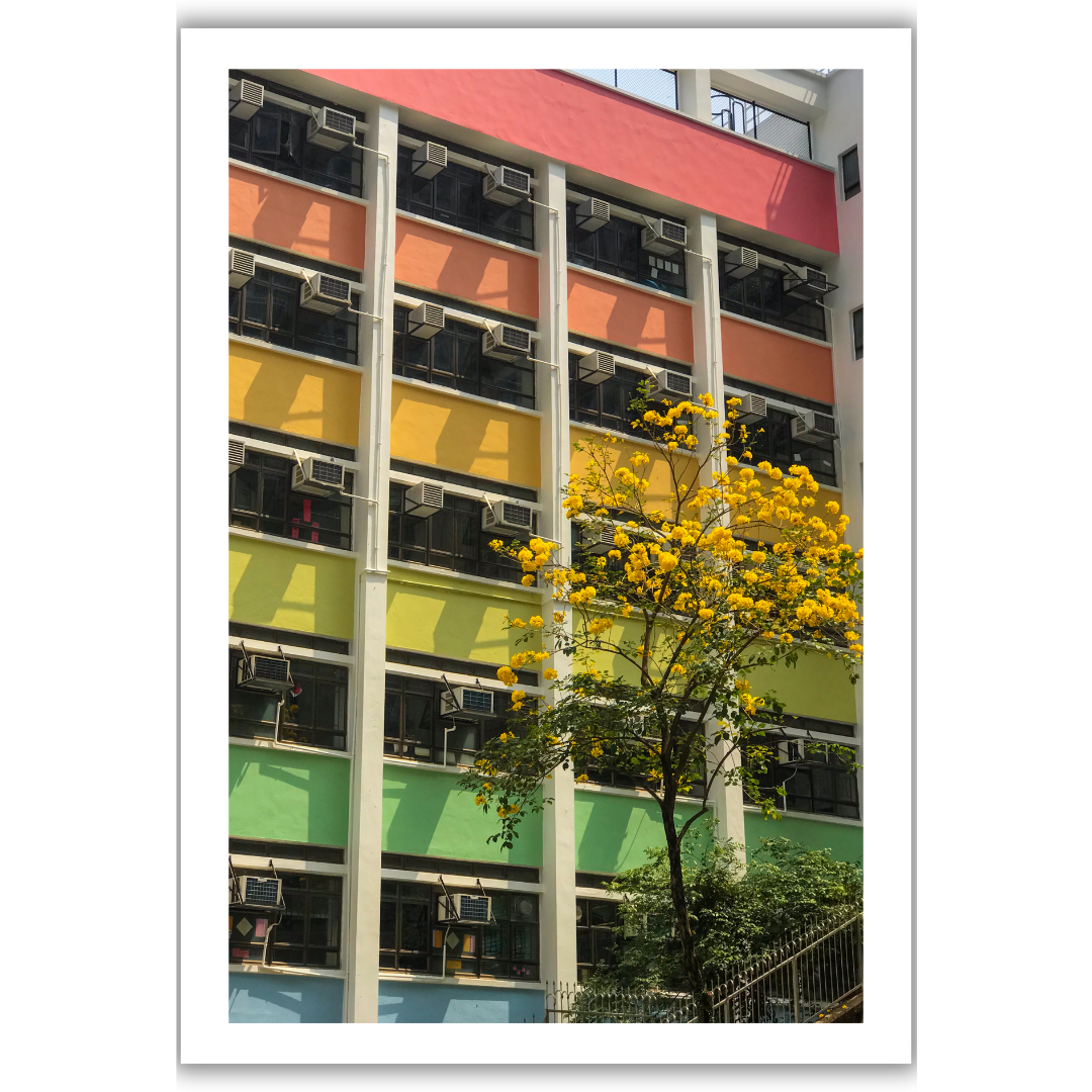 VIEW THROUGH JEN'S LENS PRINT: Colourful Public School Building